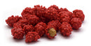 French Burnt Peanuts (16 oz)-Nuts-We Are Nuts!