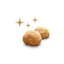 Classic 2-Pack Gift Box – Original Toffee Peanuts & Maple Bourbon Toffee Almonds-Gift-We Are Nuts!