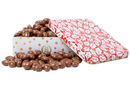 Chocolate Covered Almonds Gift Tin-Gift Tins-We Are Nuts!