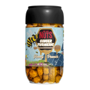 Ginger Turmeric Honey Peanuts-Toffee Nuts-We Are Nuts!