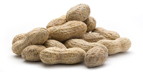 Salted in Shell Peanuts (12 oz)-Nuts-We Are Nuts!