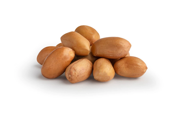 Raw Spanish Peanuts (16 oz)-Nuts-We Are Nuts!